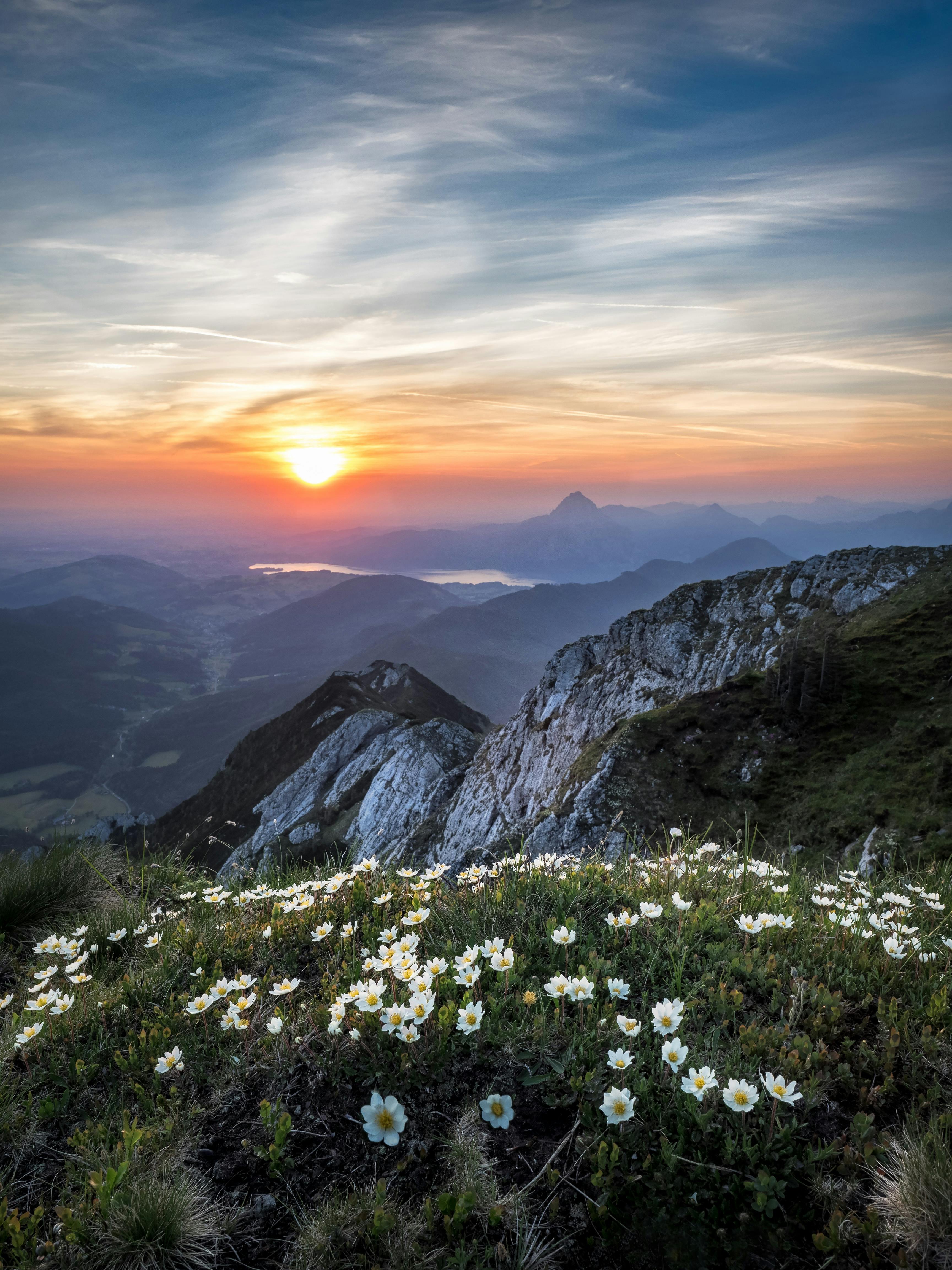 Wellness retreat Slovenia